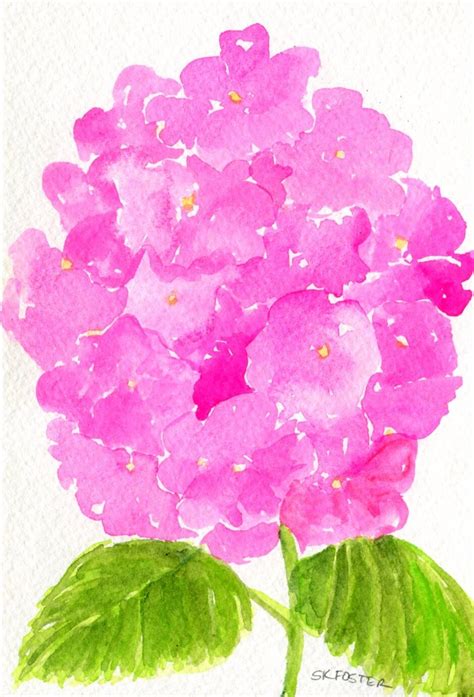 Pink Hydrangeas Watercolors Paintings Original By SharonFosterArt