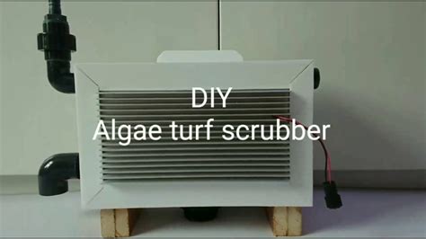 If we do not change water on time(as. DIY Algae Turf Scrubber - YouTube