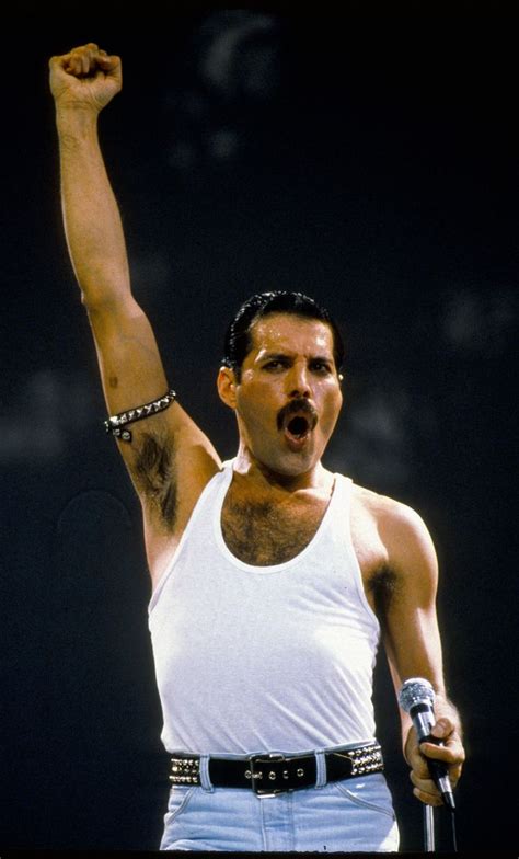 Tout Ce Que Vous Avez Toujours Voulu Savoir Sur Freddie Mercury