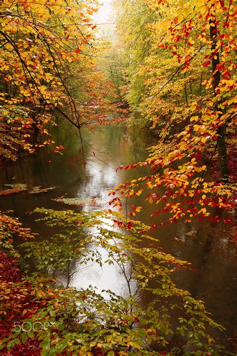 Magical Autumn Autumn Nature Landscape Beautiful Nature