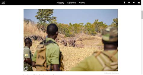 Wildlife Poachers In Kenya Could Face The Death Penalty