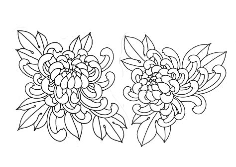 Traditional Japanese Flower Chrysanthemum Tattoo Sketch Design Flash