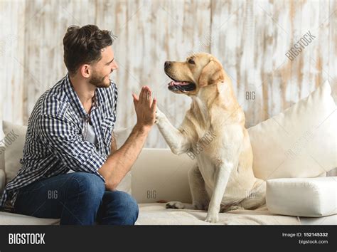 Prefer the closeness they get from. High Five Human, Dog Image & Photo (Free Trial) | Bigstock