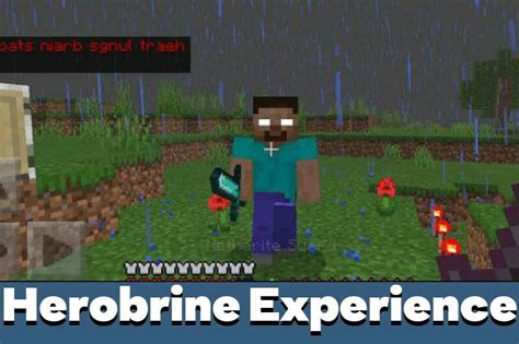 Download Herobrine Mod For Minecraft Pe Herobrine Mod For Mcpe