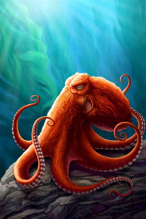 Octopus Wallpapers 24 Images Inside