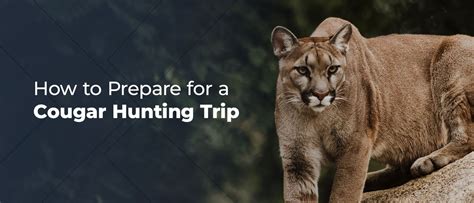 How To Prepare For A Cougar Hunting Trip