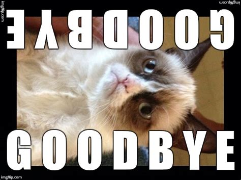 Последние твиты от cat heart memes (@catheartmemes). Grumpy Cat Meme Goodbye - Grumpy Cat