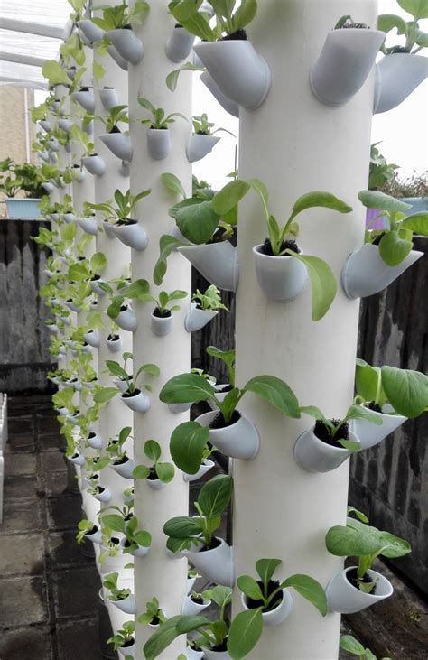 This vertical pvc pipe garden project is a cure for your lack of space problem. DWC Hydroponics Vertical Tower Gardern Growing System ...
