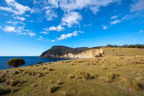 Fossil Cliffs Trail Hiking Tours Experience Tasmania