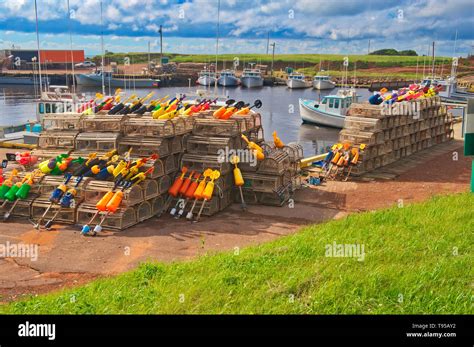 Lobster Traps And Buoys In Coastal Village Sea Cow Pond Prince Edward