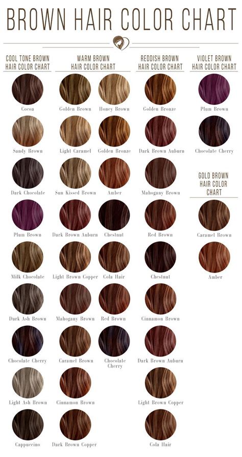 What Color Is My Hair Chart Knox Zan