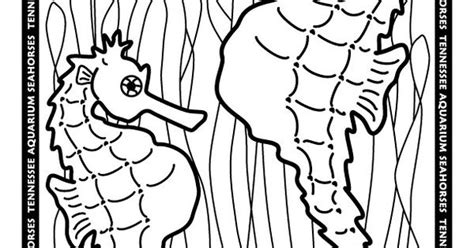 Bug coloring pages coloring sheets for kids. seahorse coloring pages - Google Search | Oceans of Ideas ...