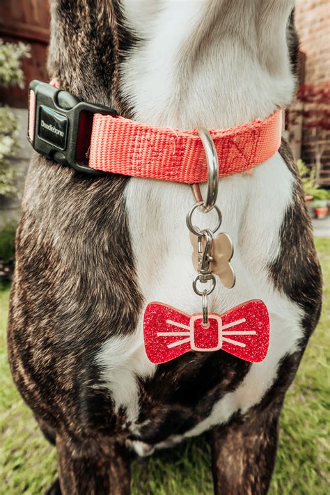 With penny stocks, you'll also need to find the undervalued stock that has a positive value, strong financials, and a promising outlook. Wren and Rye pet and pooch parent accessories - BEFFSHUFF