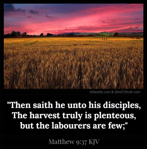 2 Timothy 215 Truth Verse Of The Day Matthew 937 Kjv