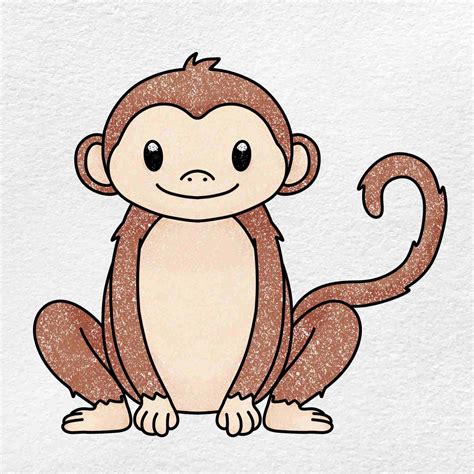 How To Draw A Cartoon Monkey Step By Step Cartoon