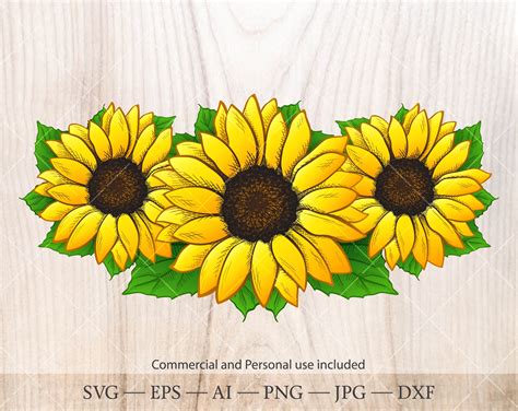 Sunflower Bouquet Svg Hand Drawn Sunflower Clipart Etsy