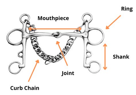 What Is A Horse Bit Types Of Horse Bits And Uses