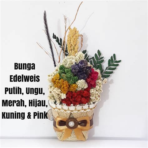 Pesona dan keindahan bunga edelweis memang memikat para pendaki untuk berhenti sejenak dan berfoto di sampingnya. Bunga Edelweis Dalam Pot Kustom Desain - Bunga Edelweis ...