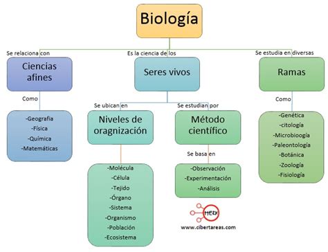 Download Mapa Conceptual Biologia Pictures Maesta