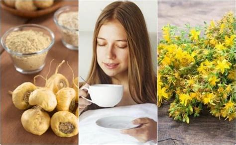5 Medicinal Plants That Help Increase Sex Drive Step To Health
