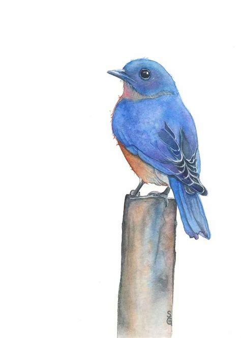 Bluebird Watercolor Art Print 5x7 Contemporary Wild Bird Art Etsy