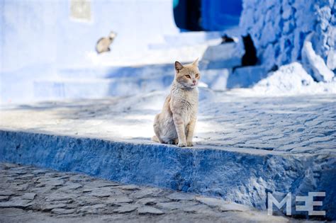 Chefchaouen Walking The Blue Streets Of Morocco