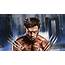 Wolverine Desktop Wallpaper 38169  Baltana