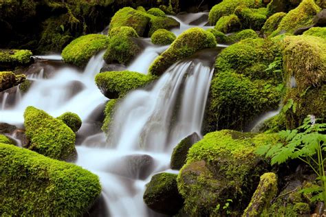 Calm Green Waterfall Wall Mural Custom Made To Suit Your Wall Size By