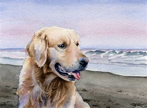 Golden Retriever Art Print Watercolor Painting Dog 8 X 10 By Artist Djr