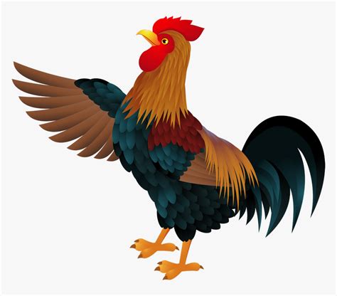 Ayam Png