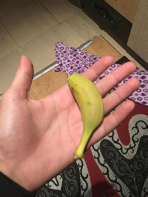 This Banana For Scale Rbananasforscale