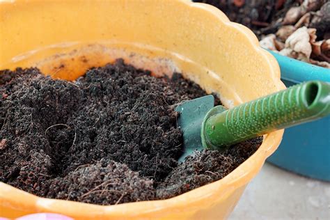 Potting Soil Mix Explained: Ingredients and Labels | Soil mix, Potting soil, Potting soil recipe