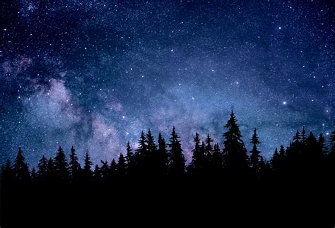 Night Wallpaper 4k Starry Sky Forest Silhouette