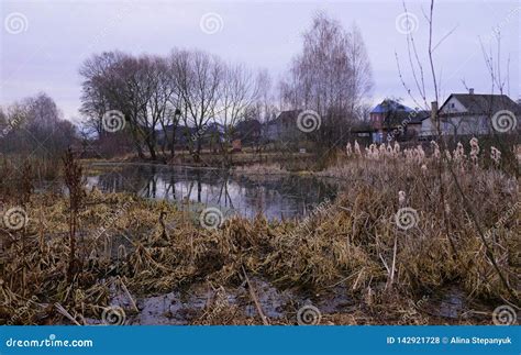 Country Landscape In Early Spring Stock Photo Image Of River Blue