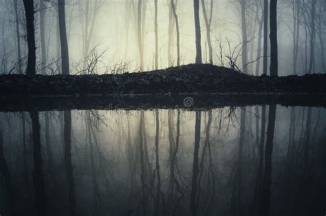 Lago En Bosque Oscuro Misterioso Con Niebla Foto De Archivo Imagen De