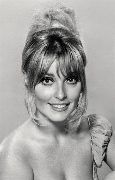 Sharon Tate Classic Beauty Timeless Beauty Classic Hollywood Old