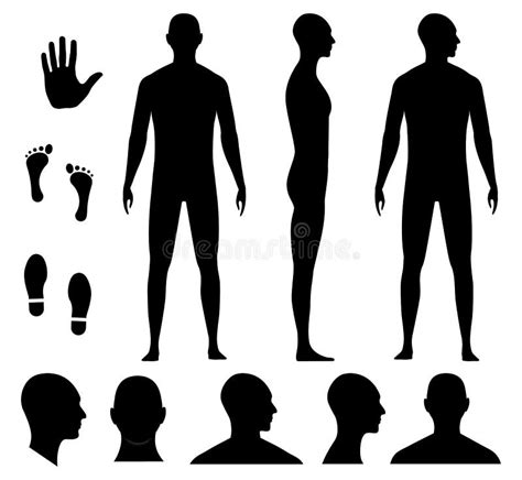 Silueta Del Cuerpo Humano Ilustraciones Stock Vectores Y Clipart