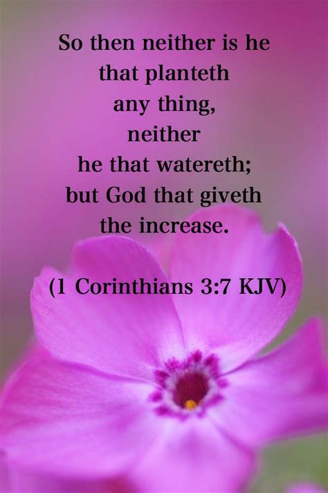 Based on scripture, this will only increase. Pin on Bible - II Corinthians