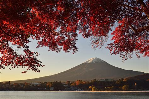 Landscape Mountain Lake Autumn Fuji Honshu Japan Volcano