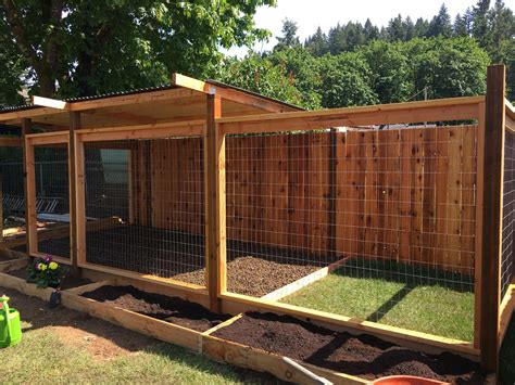 Backyard Ideas To Keep Dogs Entertained | Outdoor dog house, Dog house