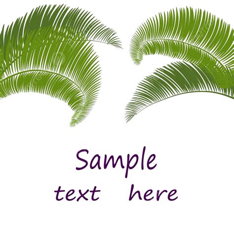 Vector Illustration Of Palm Tree Leaves Against White Background Vector