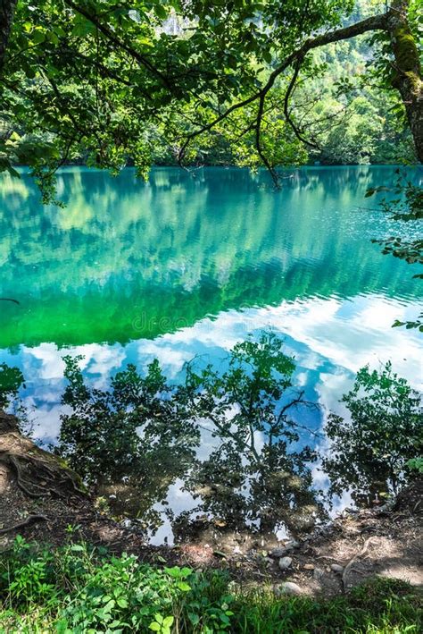 Reflection Of Green Trees And Sky In An Alpine Blue Lake In The Forest