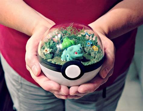 Witnessing an idea develop into its final product is undeniably satisfying. People are selling Pokeball terrariums and they're ...