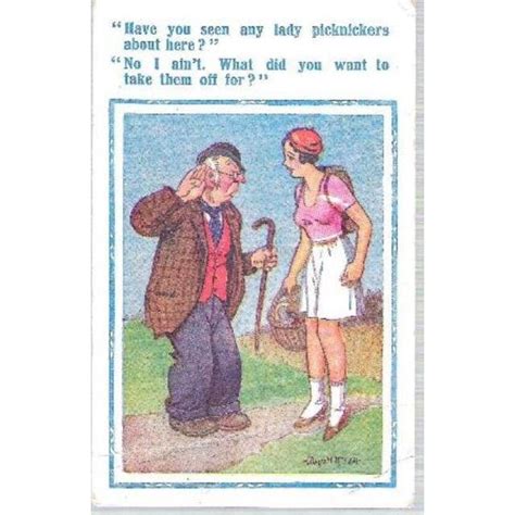 Comic Donald Mcgill Constance No 878 Lady Picknickers Postcard On Ebid United Kingdom