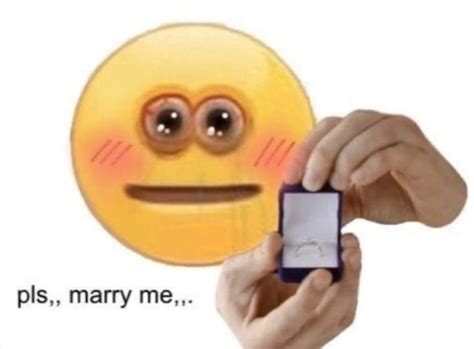 Pls Marry Me In 2020 Cute Memes Cute Love Memes Emoji Meme