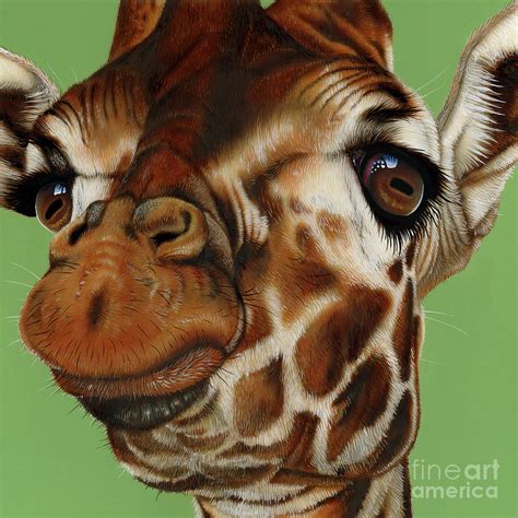 Giraffe Painting By Jurek Zamoyski Pixels
