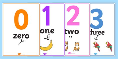 0-50 Number Word Image Posters Urdu Translation
