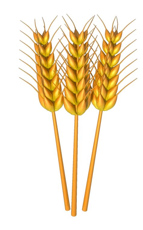 Grain Covers Clipart Clipground