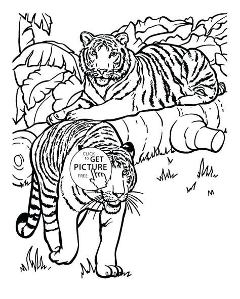 Realistic Tiger Coloring Pages At Free