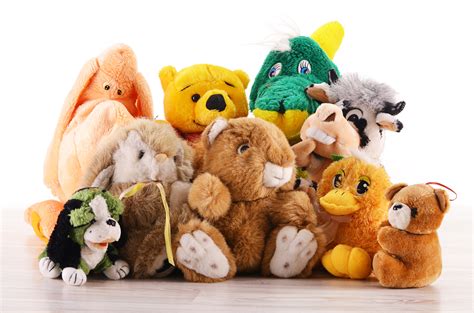 Stuffed Animals Siowfa15 Science In Our World Certainty And